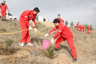 長慶油田采油七廠 企地共建“同心林”，科技賦能綠色發展